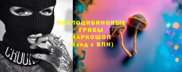 таблы Богородицк