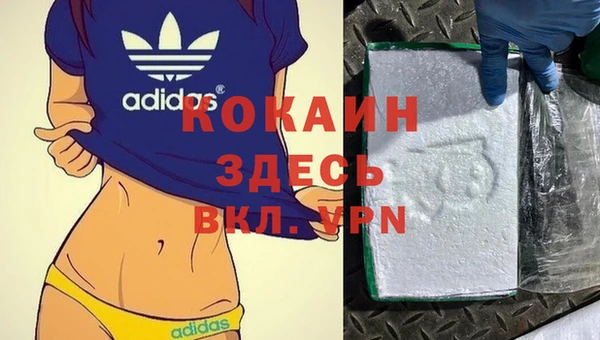 таблы Богородицк