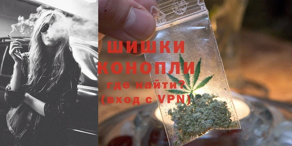 спайс Богданович