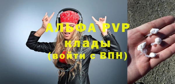 спайс Богданович