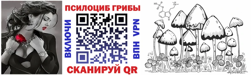 shop Telegram  Кольчугино  Псилоцибиновые грибы мухоморы 